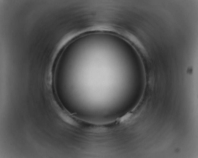 X0000101451372200807071355