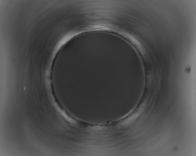 X0000101451373200807071355