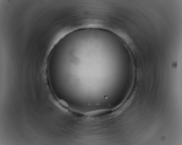 X0000101451374200807071355