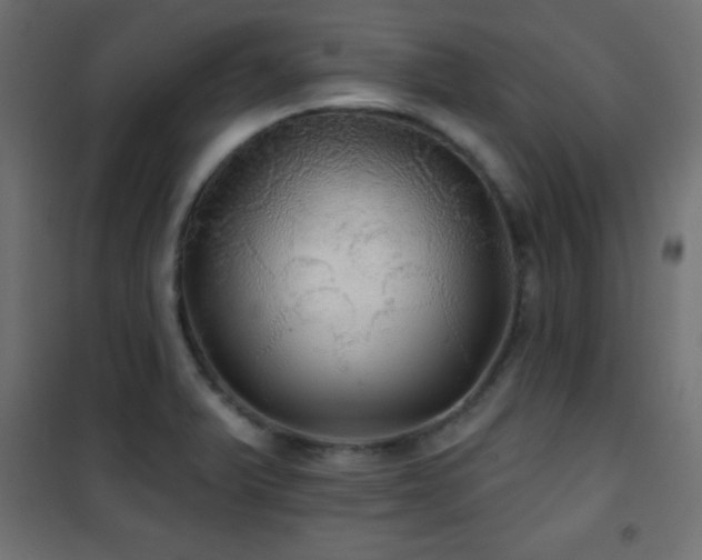 X0000101451375200807071355