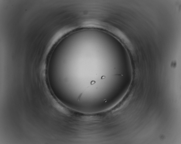 X0000101451376200807071355