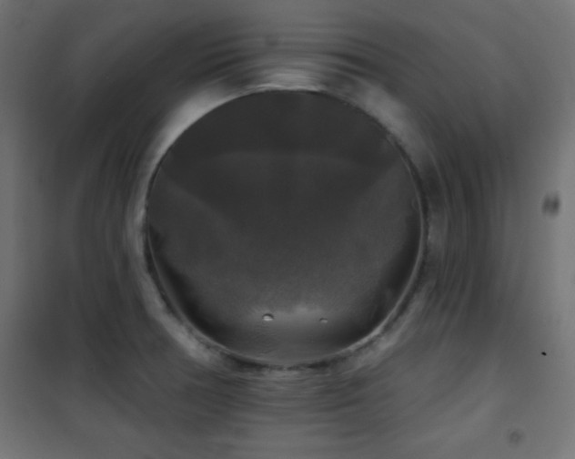 X0000101451378200807071355