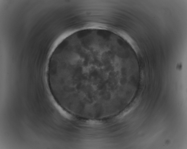 X0000101451379200807071355