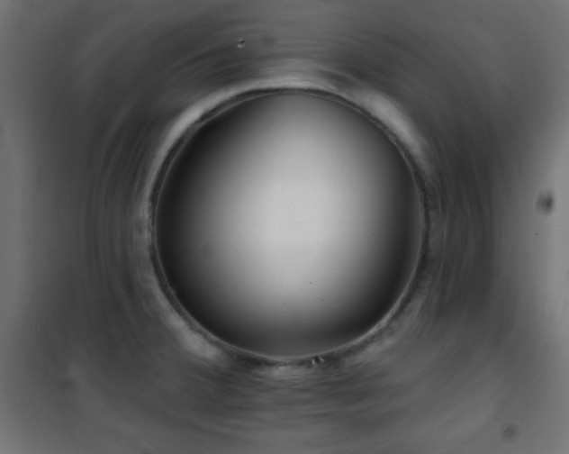 X0000101451380200807071355
