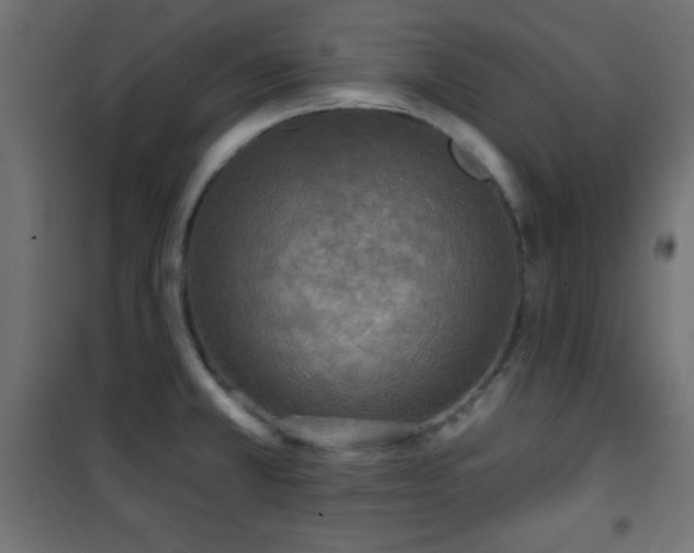X0000101451381200807071355