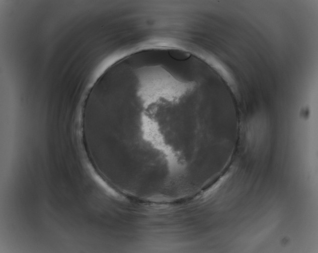X0000101451382200807071355