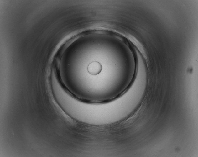 X0000101451384200807071355