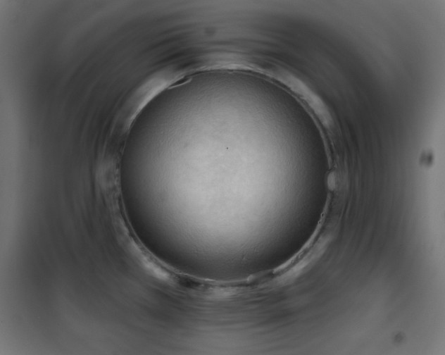 X0000101451385200807071355