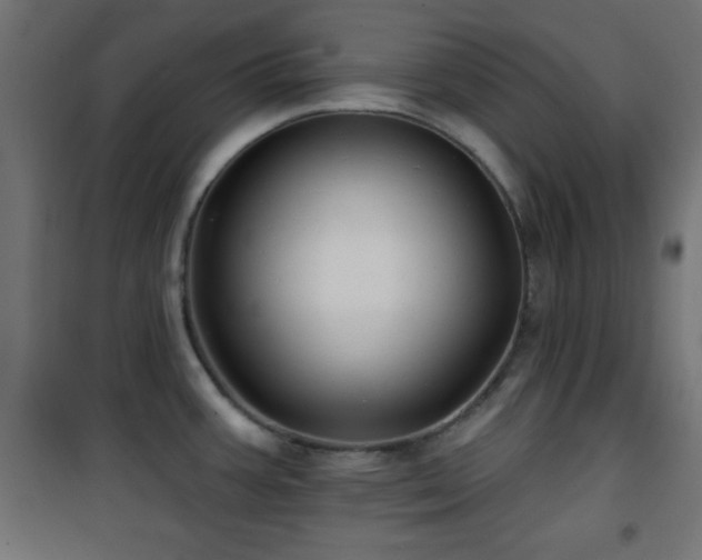 X0000101451387200807071355