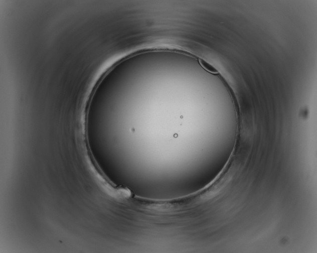 X0000101451388200807071355