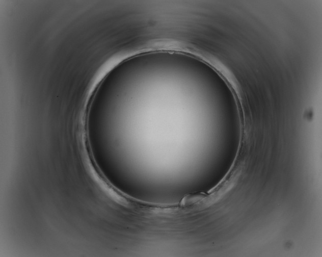 X0000101451389200807071355