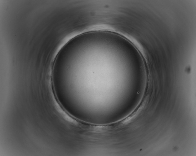 X0000101451390200807071355