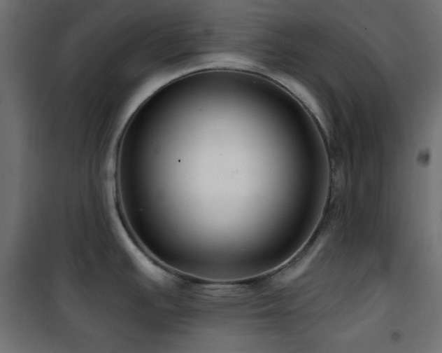 X0000101451391200807071355
