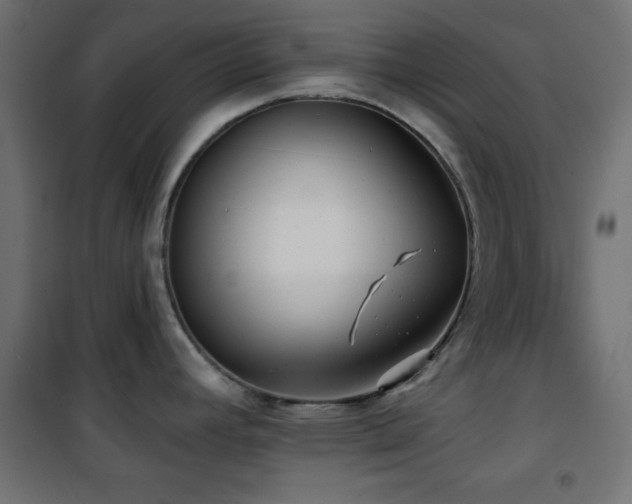 X0000101451392200807071355