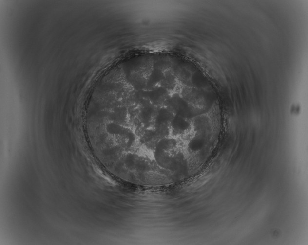 X0000101451393200807071354