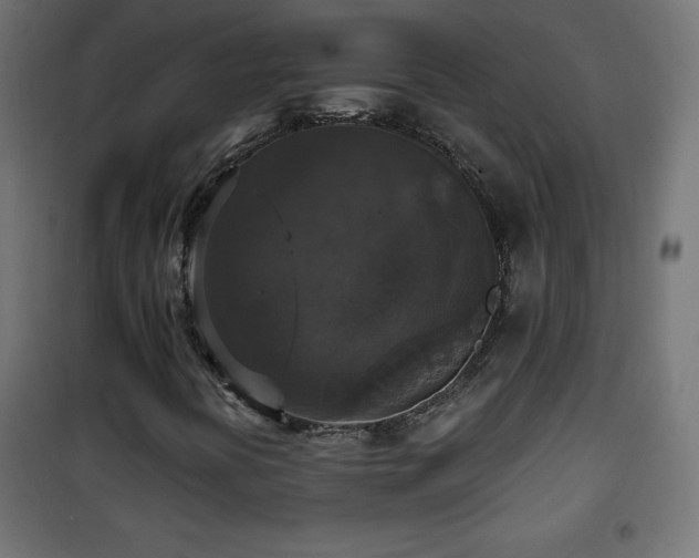 X0000101451394200807071354