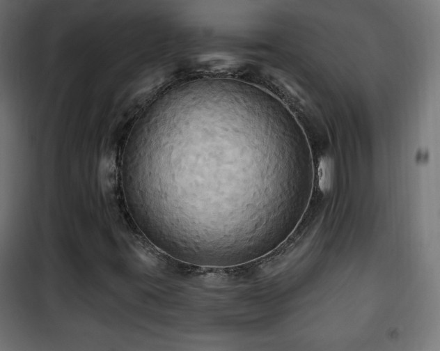 X0000101451395200807071354