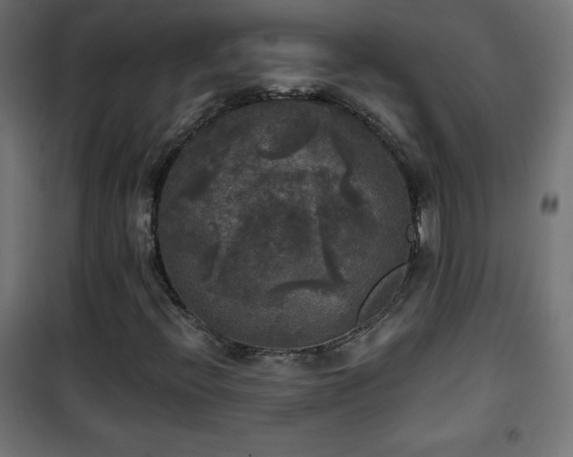 X0000101451396200807071354