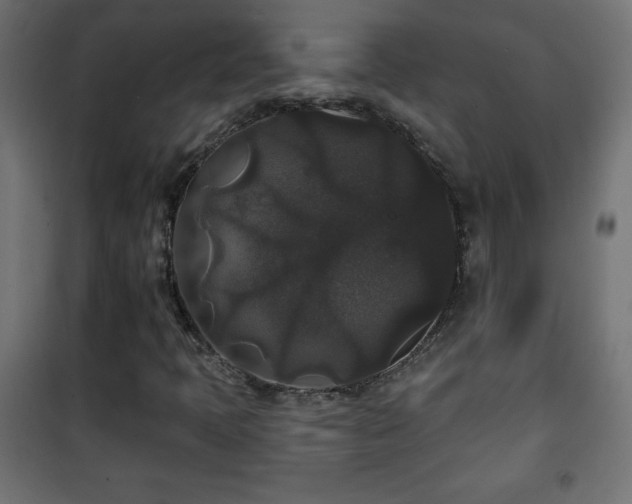 X0000101451397200807071354