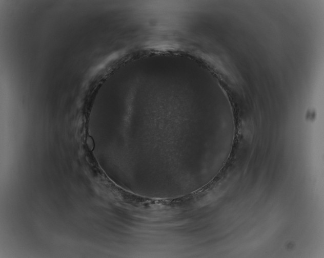 X0000101451398200807071354