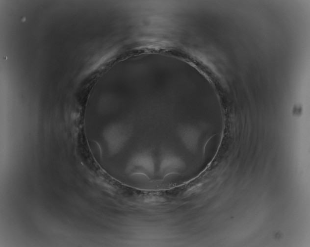 X0000101451399200807071354