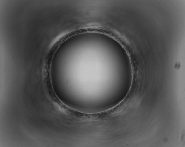 X0000101451400200807071354