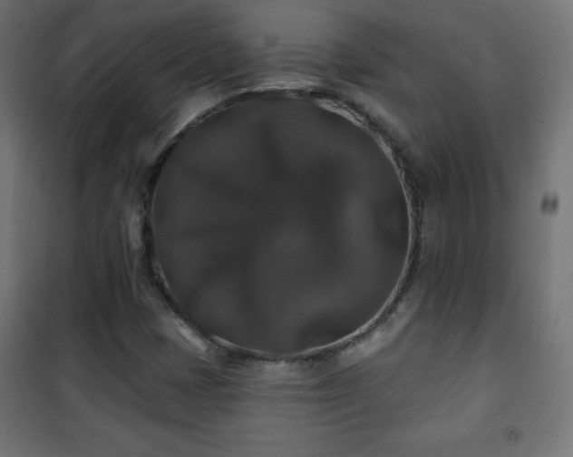 X0000101451401200807071354