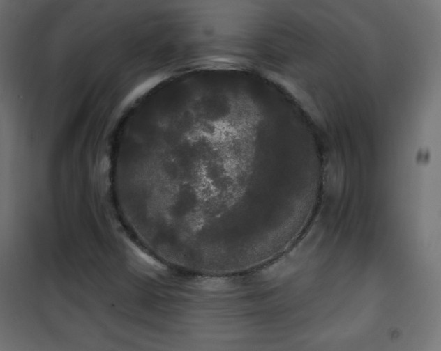 X0000101451402200807071354
