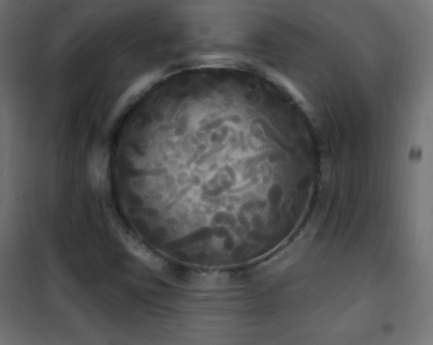 X0000101451403200807071354