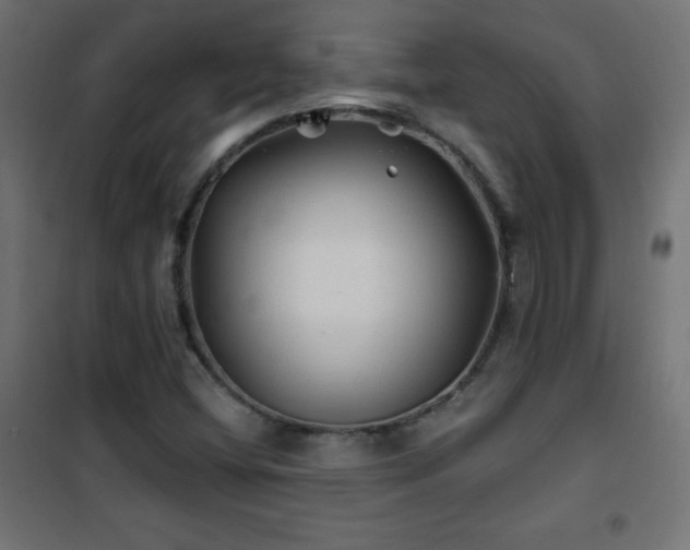 X0000101451404200807071354