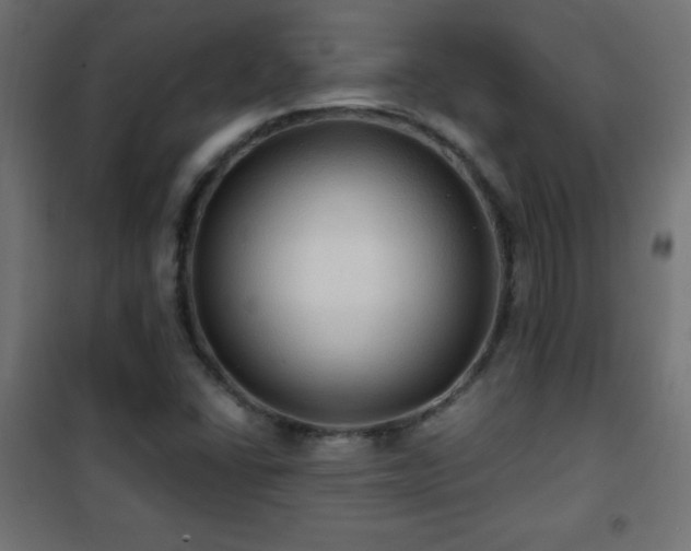X0000101451406200807071354