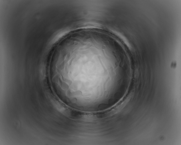 X0000101451407200807071354