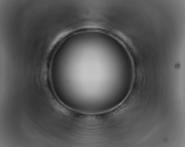 X0000101451408200807071354