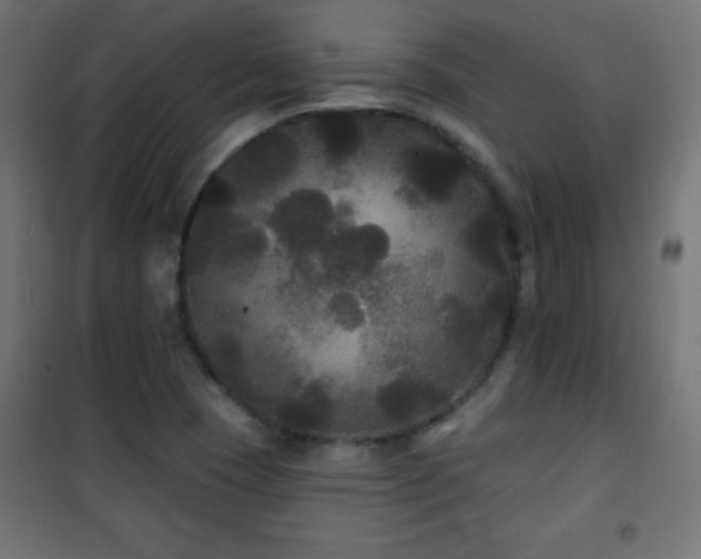 X0000101451409200807071354