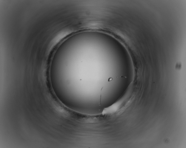 X0000101451410200807071354