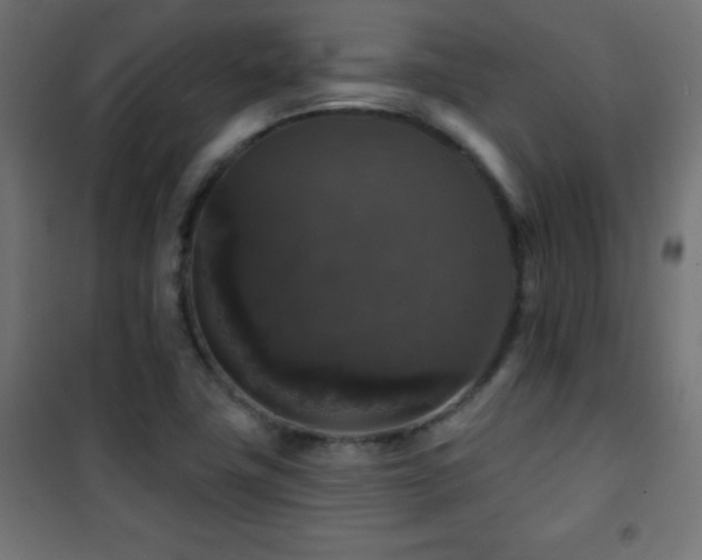 X0000101451411200807071354