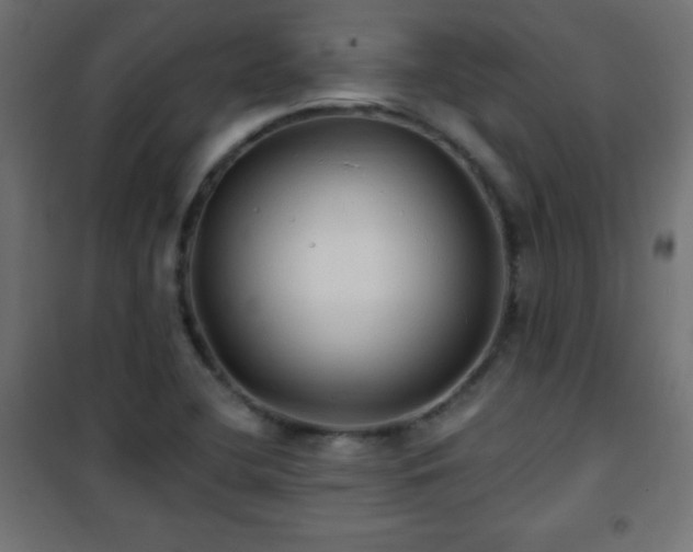 X0000101451412200807071354
