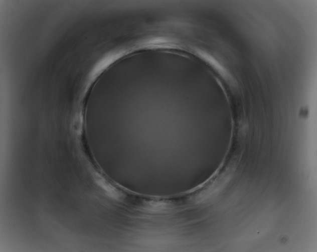 X0000101451413200807071354