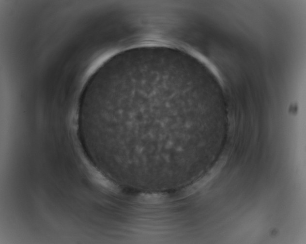 X0000101451415200807071354