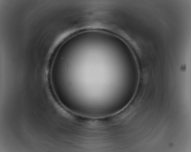 X0000101451416200807071354