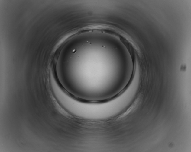 X0000101451417200807071354