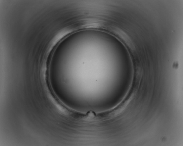 X0000101451418200807071354