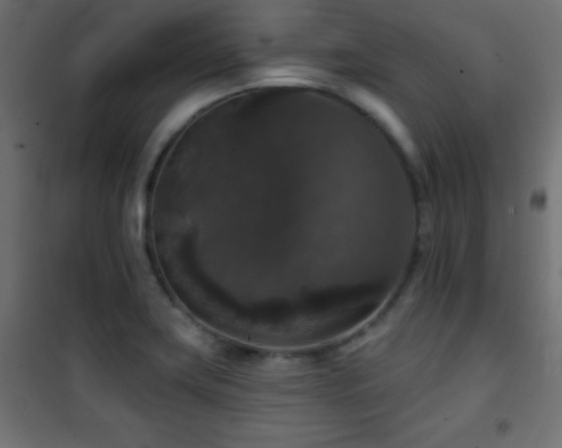 X0000101451419200807071354