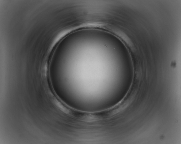 X0000101451420200807071354