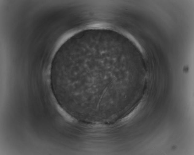 X0000101451421200807071354