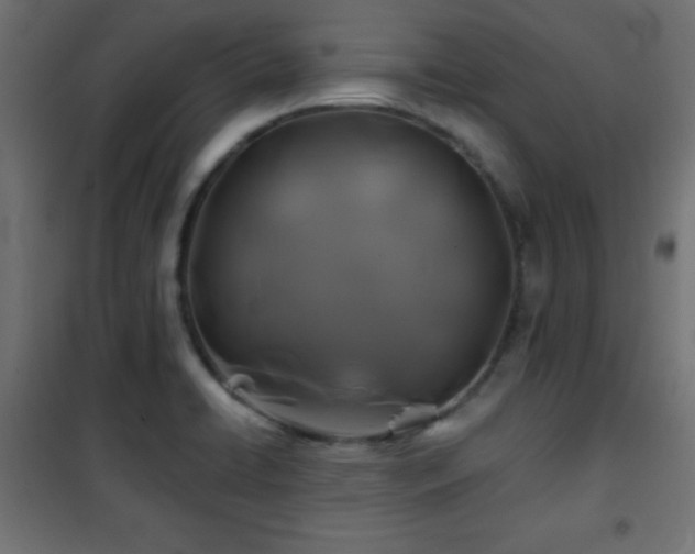 X0000101451422200807071354