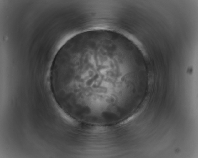 X0000101451423200807071354