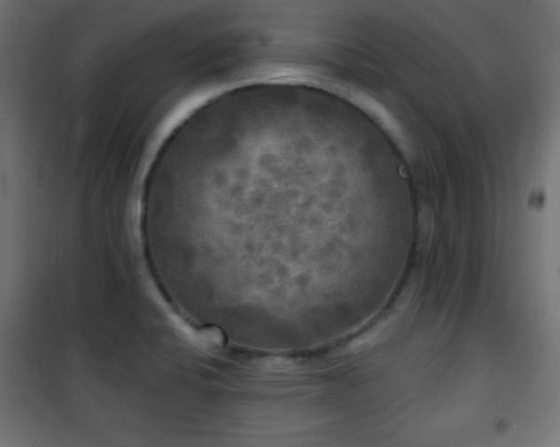 X0000101451424200807071354