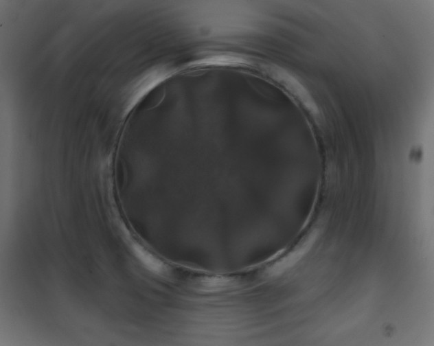 X0000101451425200807071354