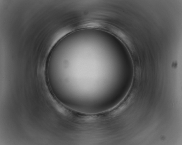X0000101451426200807071355